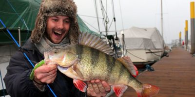 Browning Perch.jpg